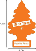 LITTLE TREES Car Air Freshener | Hanging Paper Tree - Image 7