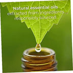 Air Wick Scented Oils 0+10 Sweetgrass & Sandalwood - Image 4