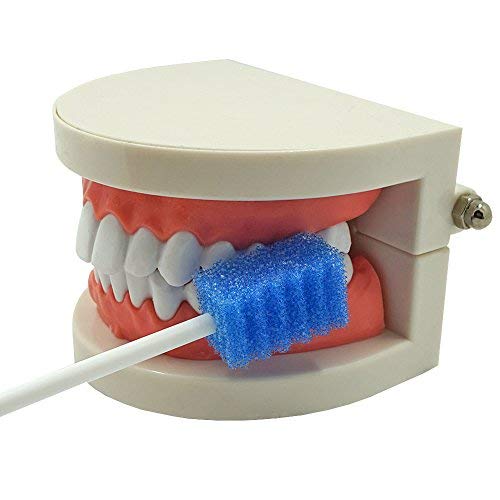 Oral Care Swabs Disposable- Blue 100 Counts - Image 9