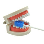 Oral Care Swabs Disposable- Blue 100 Counts - Image 4