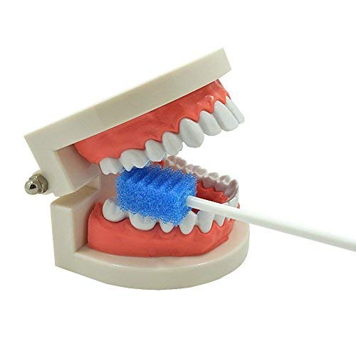 Oral Care Swabs Disposable- Blue 100 Counts - Image 4