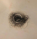 Rocky Mountain Goods Drain Hair Catcher - Image 6