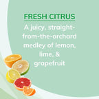 Citrus Magic Odor Absorbing Solid Air Freshener, Fresh Citrus - Image 3