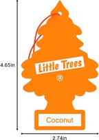 LITTLE TREES Car Air Freshener | Hanging Paper Tree - Image 8