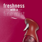 Febreze Air Freshener Spray, Odor-Fighting Room Spray, Cranberry Crumble Scent - Image 5