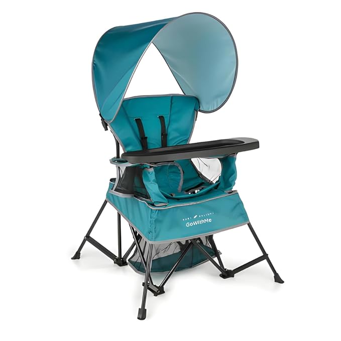 Baby Delight Go with Me Venture Portable Chair | Indoor and Outdoor | Sun Canopy | 3 Child Growth Stages | Teal by BabyDelight