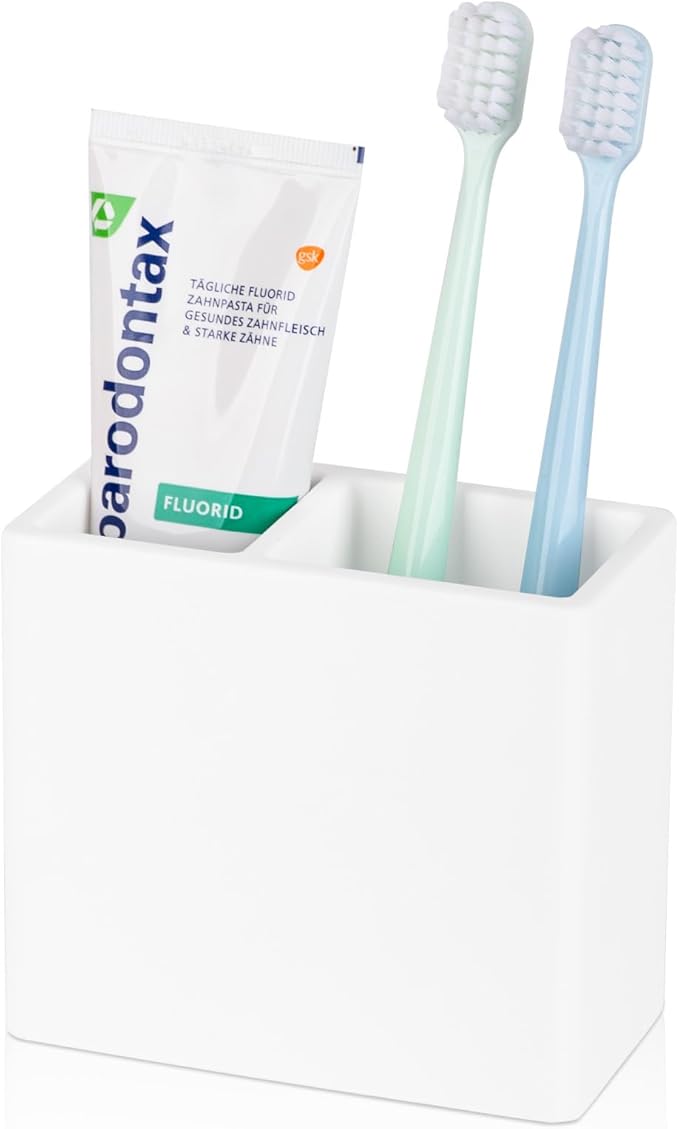 Diatomite Toothbrush Holder 2 Slots Tooth Brush Holder by Heagoale