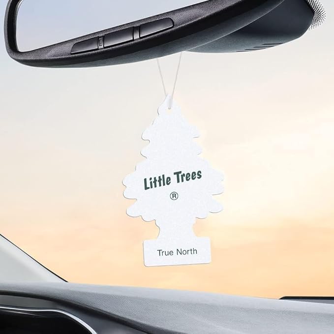 Little Trees Air Fresheners, True North - Image 4