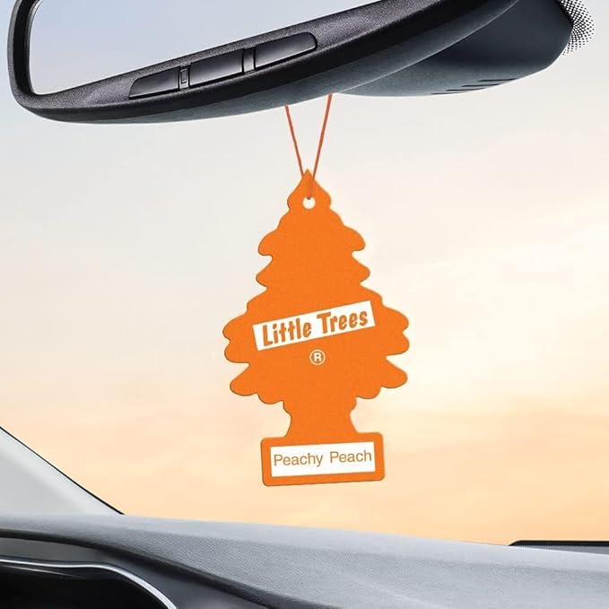 LITTLE TREES Car Air Freshener | Hanging Paper Tree - Image 4