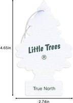 Little Trees Air Fresheners, True North - Image 7
