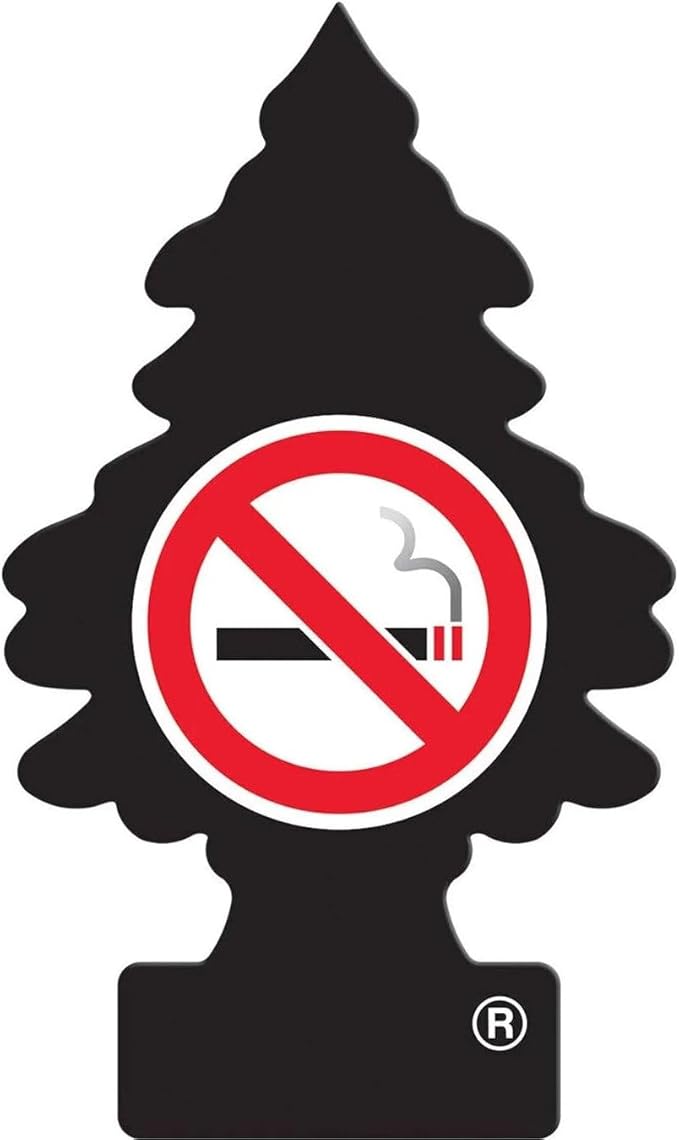 Little Trees Car Air Freshener 6-Pack by LITTLETREES