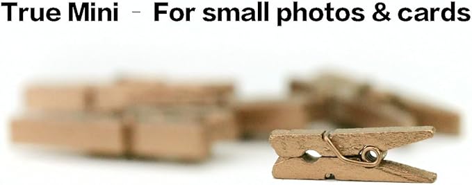 LWR CRAFTS Wooden Mini Clothespins 100 Per Pack 1" 2.5cm - Image 7