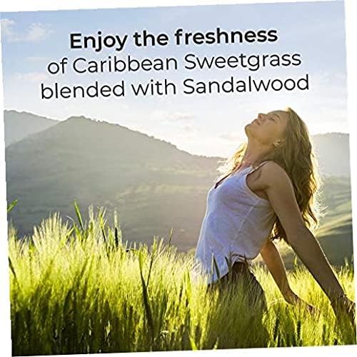 Air Wick Scented Oils 0+10 Sweetgrass & Sandalwood - Image 2