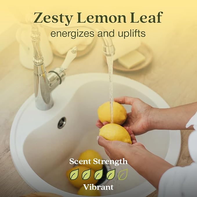Enviroscent Non-Toxic Air Freshener Paper Refills - Image 3