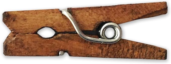 LWR CRAFTS Wooden Mini Clothespins 100 Per Pack 1" 2.5cm by LWR+CRAFTS
