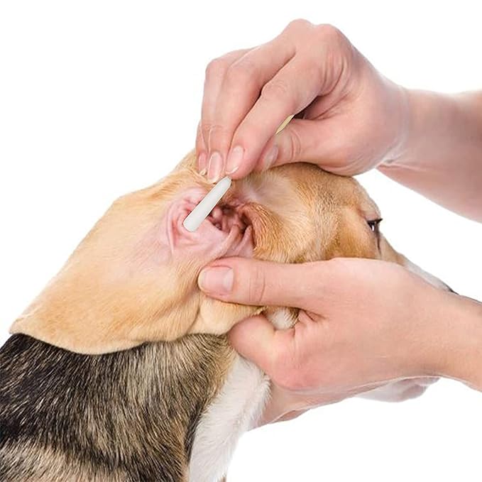 6 Inch Long Cotton Swabs of Medium and Large Pets Ears Cleaning or Makeup 100pcs - Image 5