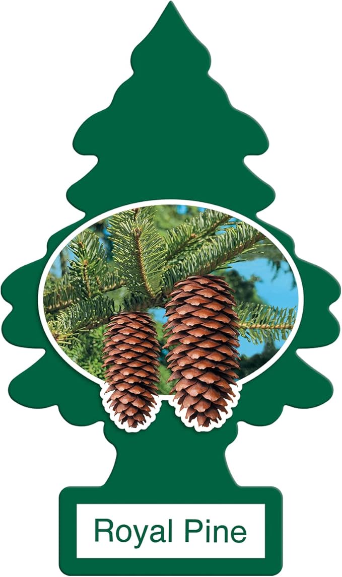 LITTLE TREES Car Air Freshener | Hanging Paper Tree by LITTLETREES