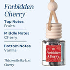 C&E Craft Co Hanging Car Air Freshener Diffuser 2 Pack, Long Lasting Fragrance - Image 5