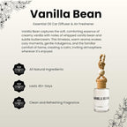 Vanilla Bean Hanging Car Air Freshener – Long Lasting Essential Oil Diffuser - Image 4