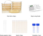 Bacteria Science Kit Petri Dishes - Image 4
