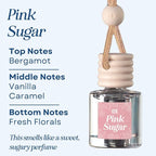 C&E Craft Co Hanging Car Air Freshener Diffuser 2 Pack, Long Lasting Fragrance - Image 3