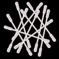 800 Pieces Cotton Swabs, Double Spiral Tipped by Rayhee