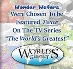 Wonder Wafers 25 CT Individually Wrapped Fresh Lemon Air Fresheners - Image 6