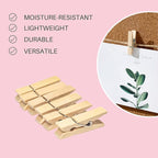 Small Clothes Pin, Mini Clothespins, Small Clothes Pins - Image 2