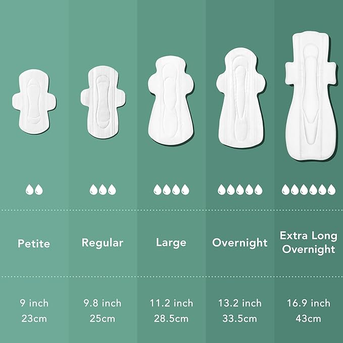 Rael Pads for Women, Organic Cotton Cover - Image 5