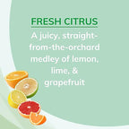Citrus Magic Solid Air Freshener - Image 3