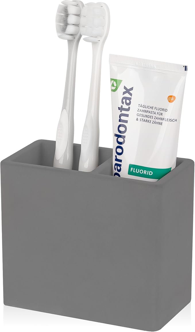 Diatomite Toothbrush Holder 2 Slots Tooth Brush Holder by Heagoale