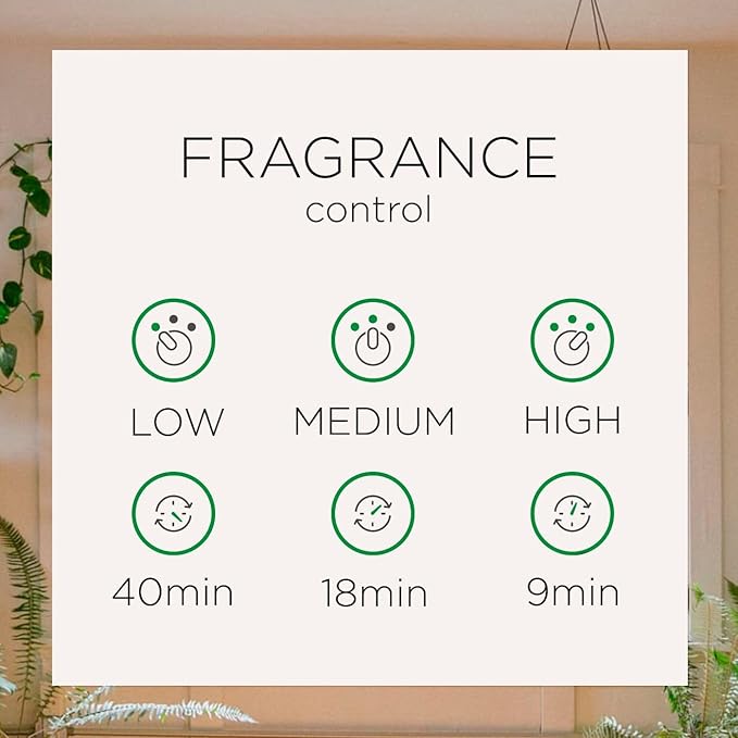 Air Wick Automatic Spray Starter Kit, Summer Delights, Essential Oils, Air - Image 6