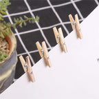 DIYASY 120 Pcs Mini Wood Clothespins, 1 Inch Small Craft Wooden Clips - Image 5