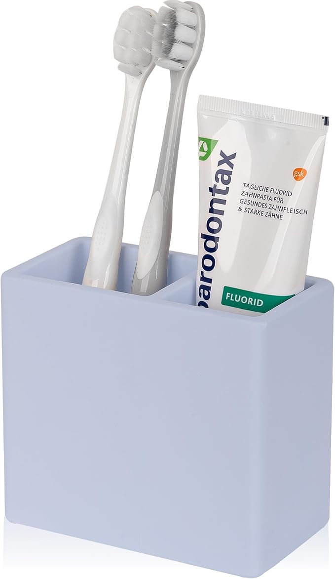 Diatomite Toothbrush Holder 2 Slots Tooth Brush Holder by Heagoale