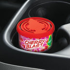 LITTLE TREES Car Air Freshener | Fiber Can Provides Long Lasting Scent - Image 7