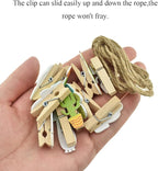 HAHIYO Cactus Painted Mini Wooden Clothespin Clip - Image 5