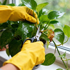 4 Pack Rubber Dishwashing Gloves - Image 3