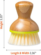 Full Circle Bubble Up Bamboo Dish Brush – Family Safe, - Image 8