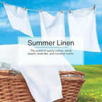 Little Trees Cardboard Hanging Car, Home & Office Air Freshener, Summer Linen - Image 5