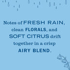 MRS. MEYER'S CLEAN DAY Premium Scented Oil Diffuser Kit, Rain Water, 1 warmer - Image 3