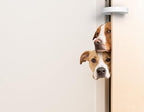 Door Pinch Guard and Door Slam Stopper 6pk. Use Safety Door Guard Made of Soft - Image 4