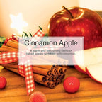 Car Freshner U1P10338 Little Trees Cinnamon Apple Air freshener, 24 Pack - Image 5