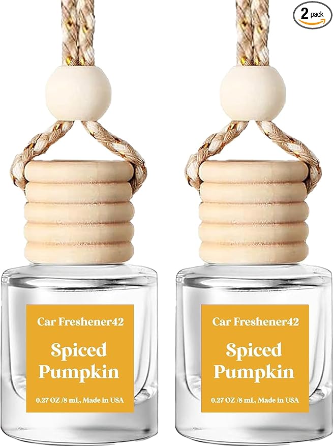 HoogaLife Car Air Freshener Diffuser 2 Pack Hanging Spiced Pumpkin Car Air by HoogaLife