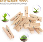 Mini Clothespins, Mini Clothes Pins - Image 3