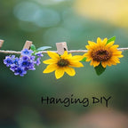 24Pcs Large Wooden ClothesPins, 2.83 inch Long 0.71 inch Wide, Sturdy and Heavy - Image 5