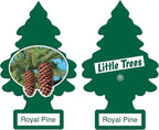 LITTLE TREES Car Air Freshener | Hanging Paper Tree - Image 2