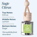 C&E Craft Co Hanging Car Air Freshener Diffuser 2 Pack, Long Lasting Fragrance - Image 2