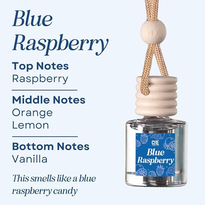 CANDECraftCo Car Air Hanging Fragrance Oil, Car Auto Freshener - Image 3