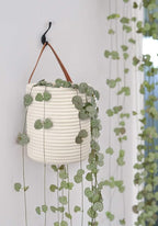Goodpick 2pack Rope Hanging Basket - Image 8