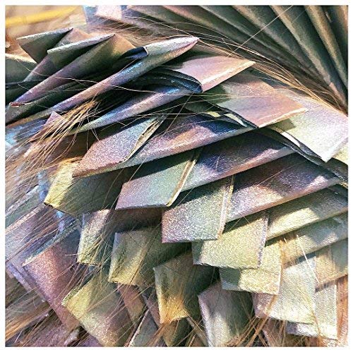 Framar Ethereal Hair Foils For Highlighting - Image 7